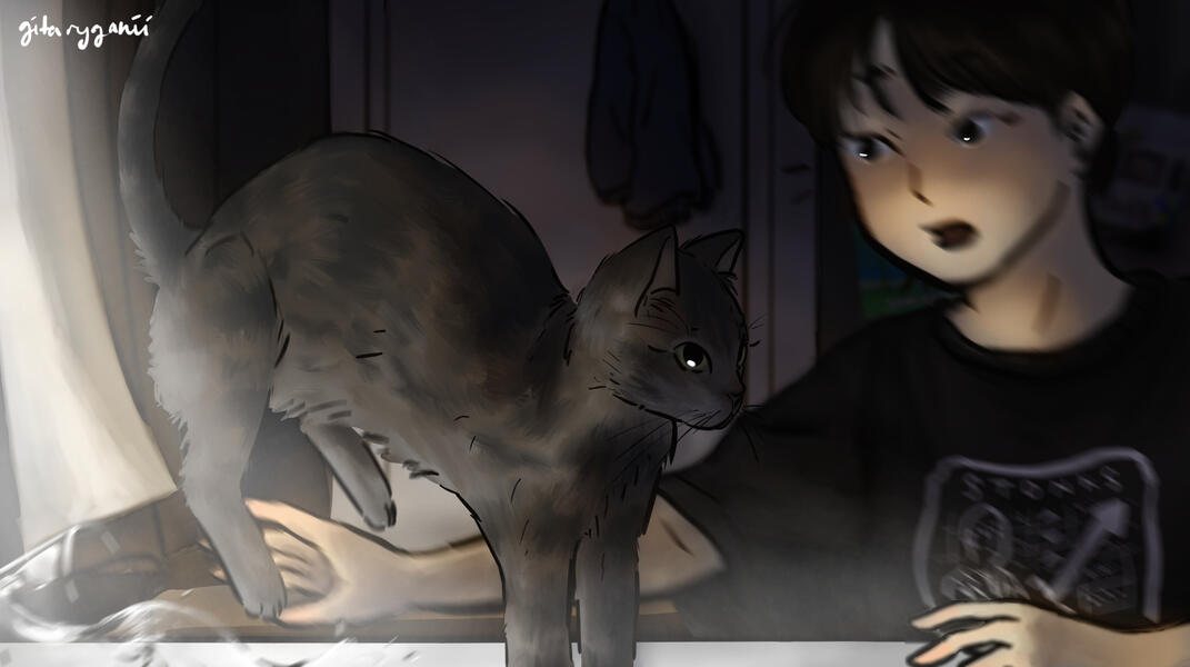 Personal Work Zoom Meeting (2020)